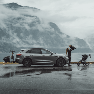 Thule Santu box na platformę na hak EasyFold/Epos 300L - 7